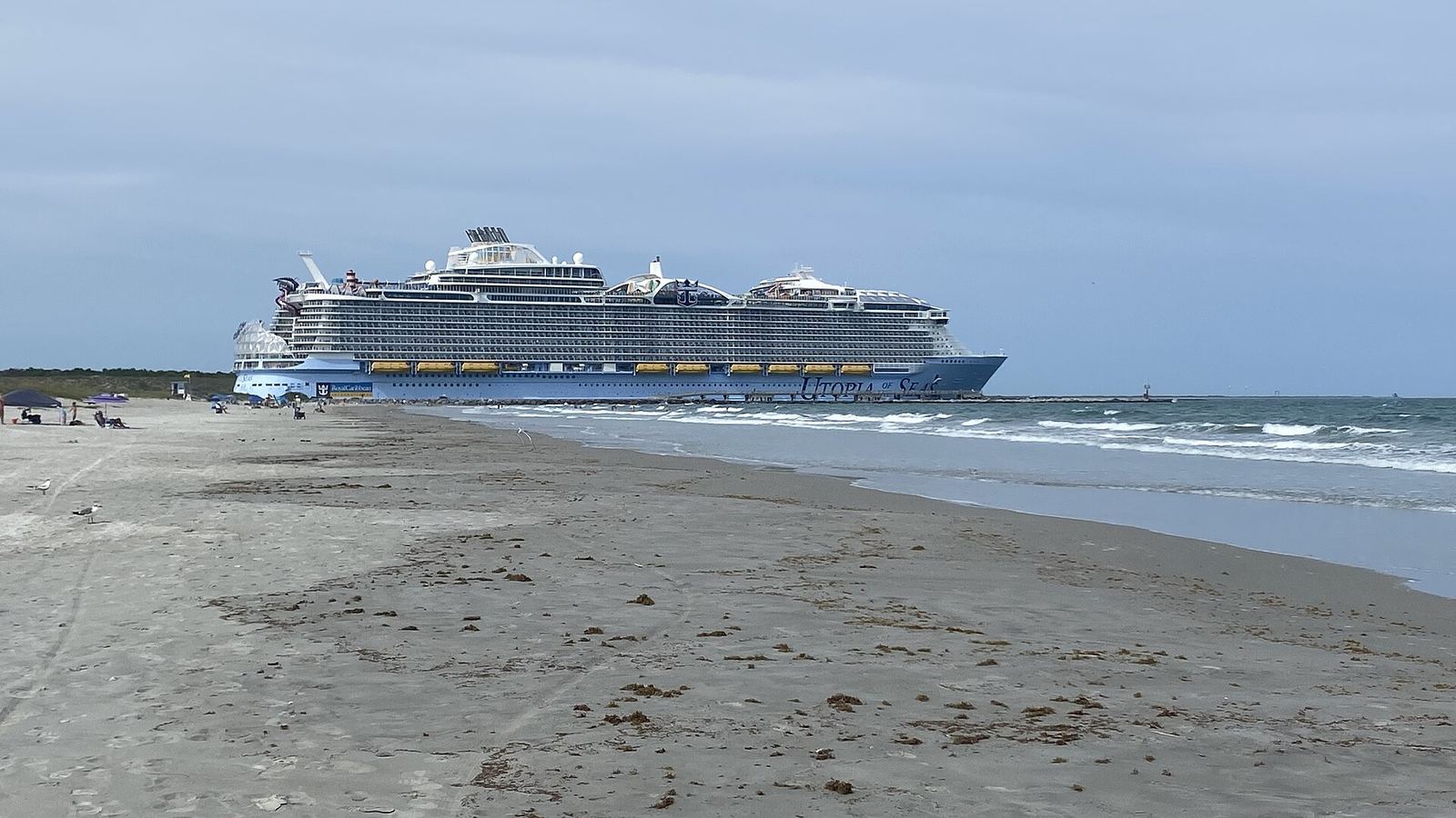 A large cruise ship sailing past an empty sandy beach near Port Canaveral