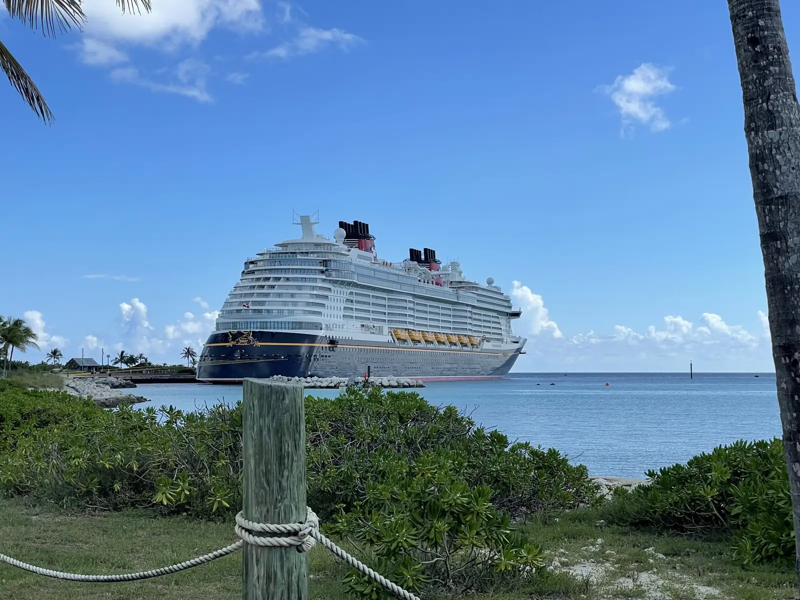 Cruise ship docked at a Bahamas private island seen past palm trees and a rope fence